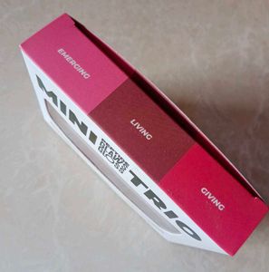 Fae Beauty Lip Gloss +Plum Blush