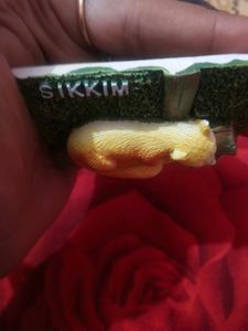 Beautiful Sikkim Fridge Magnet New
