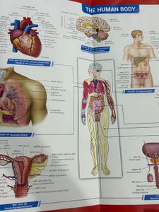 NCERT Fingertips - NEET