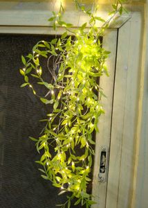 Leaf Curtain Led Lights