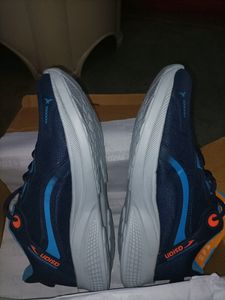 Asian Blue Shoes