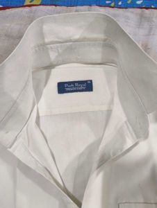 Mens Shirt- Regular Fit-36 Cm