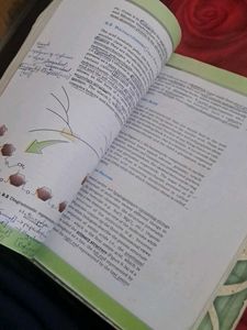 Ncert Biology 1st And 2nd Year Textbooks