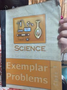 Science Exemplar Problems