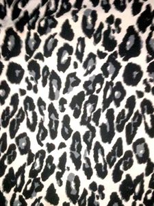 Leopard Print Mini Dress