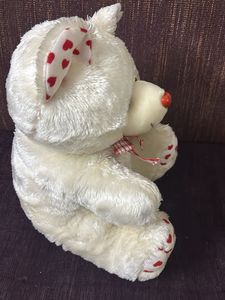 White Teddy Soft Toy