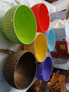 Colorful Plastic Plant Pots (Set of 6)