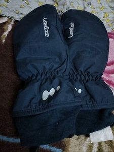 Combo Of Gloves  N Brief Free