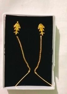 New Collection