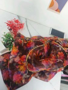 Organza Duppata
