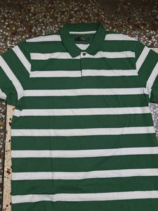 Striped Green Polo Shirt