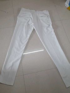 Pant