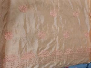 Festive saree With Collar Blouse