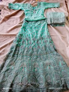 Mint Green Embroidered Lehenga