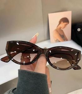 Chic Brown Sunglasses - A New One 😎