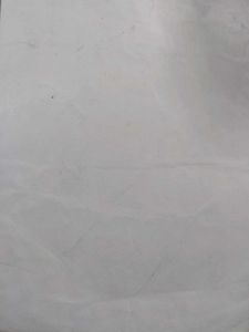 MS Dhoni Art