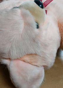 Stuff Toy – Pink Teddy Bear (New / Gently Used) fo