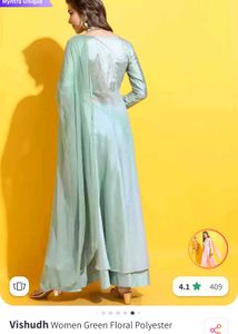 Elegant Ethnic Gown
