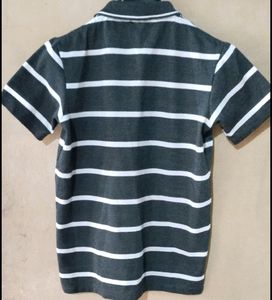 Combo Offer T Shirts