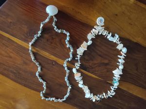 Sea Shell Necklace