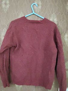 Absolutely New uniqlo Sweater