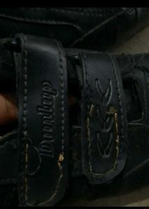 The Shoes 👞