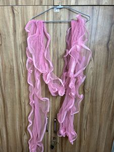 Pink Color Very Beautiful Lehanga