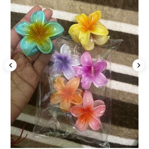 Pinteresty Hair Clips