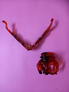 Pair Of Honey Color Elegant Hair Clips
