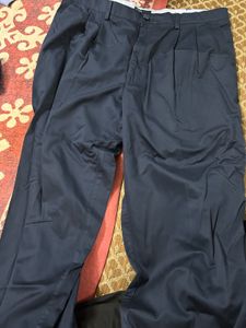Color Plus Navy blue Pants