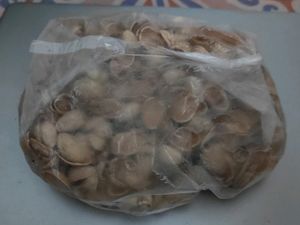 Pista Shell - Art And Craft Work Or For Counti