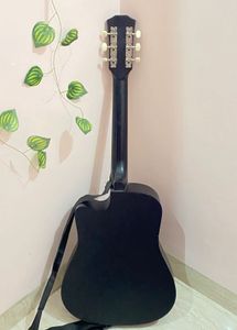 Acoustic Guitar