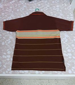 Striped Polo Shirt