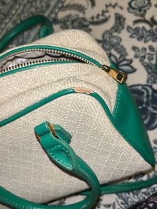 Zara Green &amp; Beige Handbag