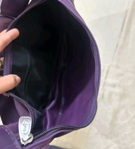 Longchamp Purple Hobo Bag