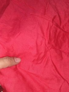 Pink  Rani Plazzo Lsize Full Length