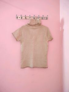 Turtle Neck Top