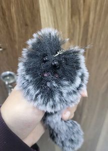Fluffy Pom-Pom Keychain