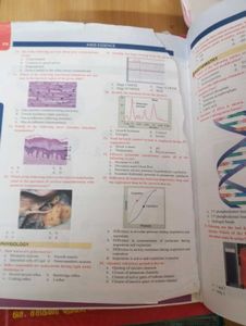AIIMS Essence 2017-2015