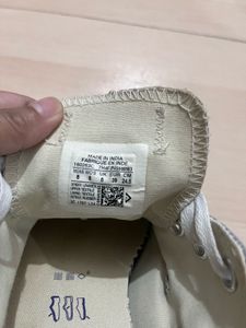 Converse Sneakers