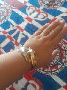 dolphin bracelet