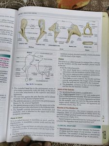 Human Anatomy Volume 3 with free workbook