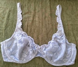 🍂Elegant White Lace Leaf Embroidered Bra🍂