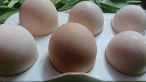 Fresh Farm Eggs