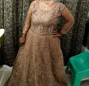 Elegant Embellished Ethnic Gown