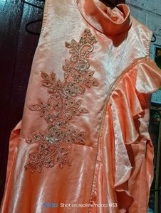 Elegant Ethnic Peach Gown 🎀