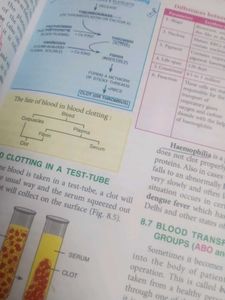 CLASS 10TH ICSE SCIENCE BOOKS , Selena Publishers