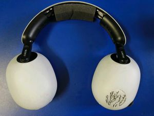 Sony Wireless Gaming Headset (Modified)
