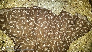 Floral Brown Dress