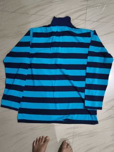 Striped Polo Shirt